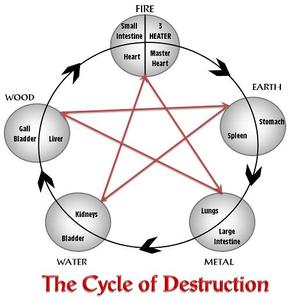 Cycle of Destruction