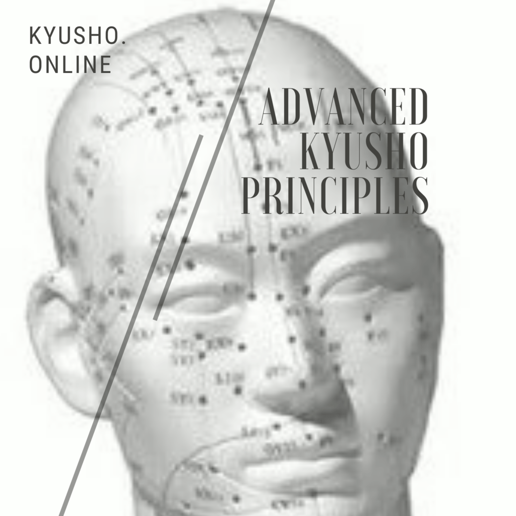 Advanced Kyusho Jitsu Principles