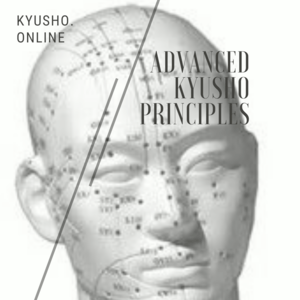 * Advanced Kyusho Principles