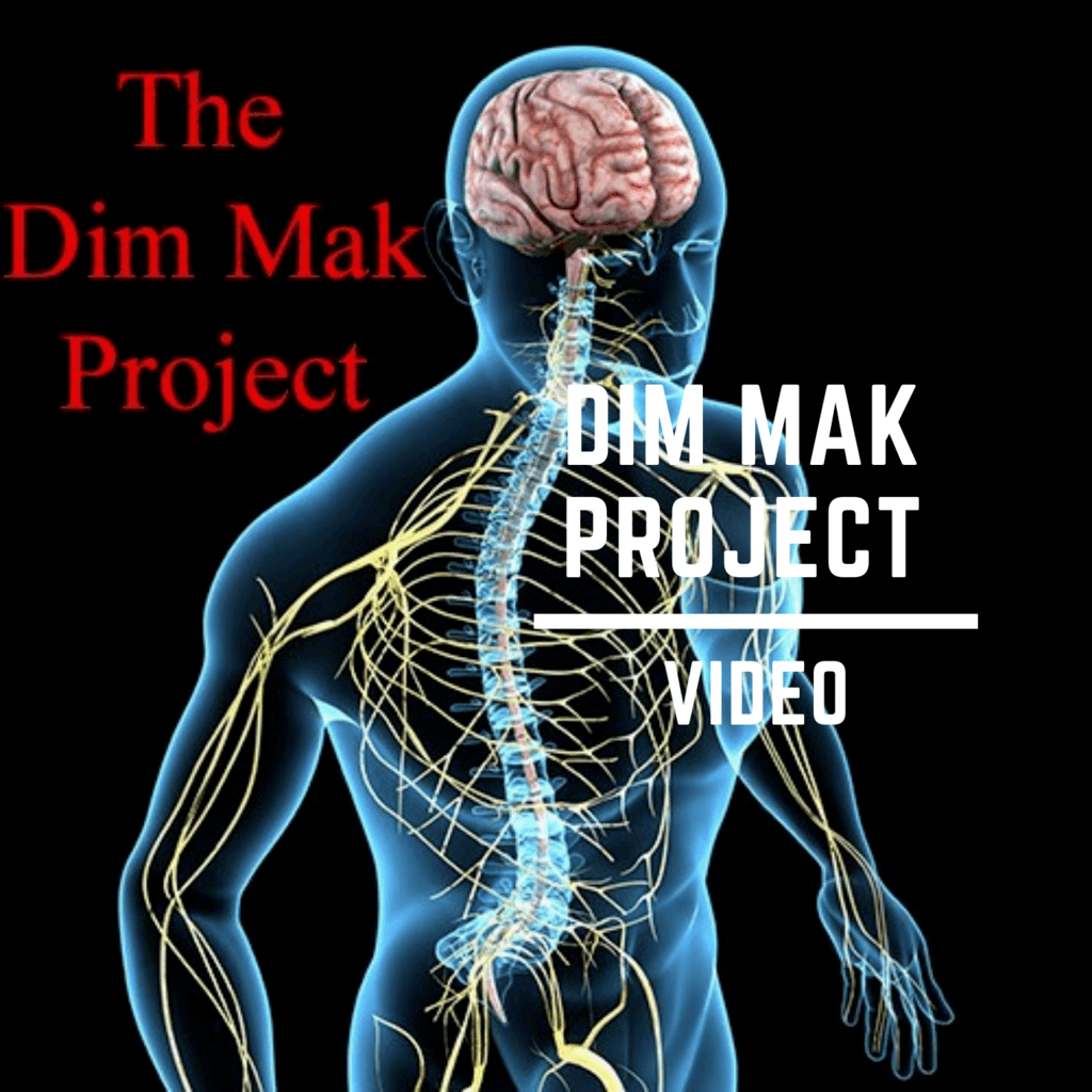 * Dim Mak Project Video