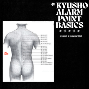 * Kyusho Alarm Point Basics