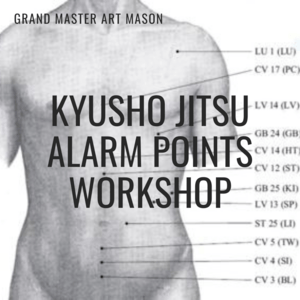 Kyusho Jitsu Alarm Points Workshop