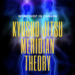 * Kyusho Jitsu Meridian Theory