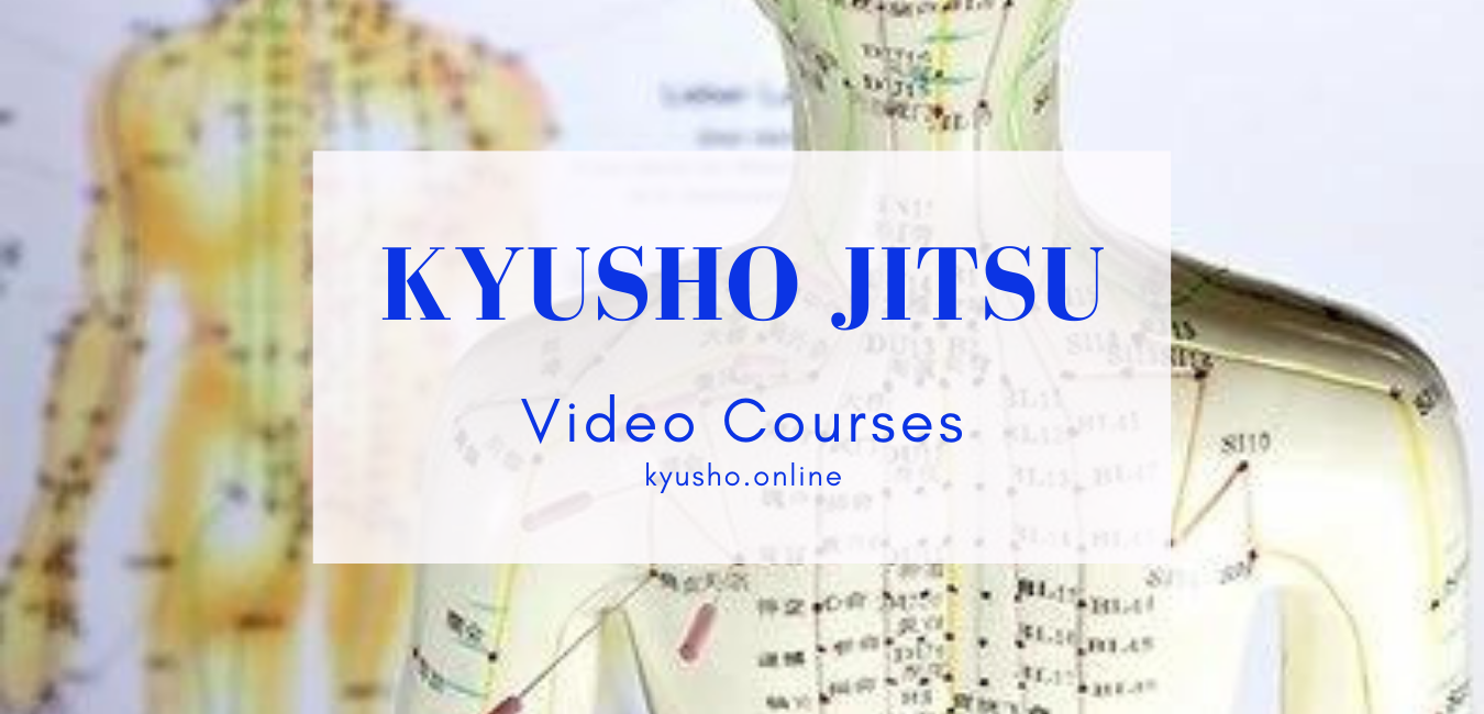 * Kyusho Jitsu Video Courses