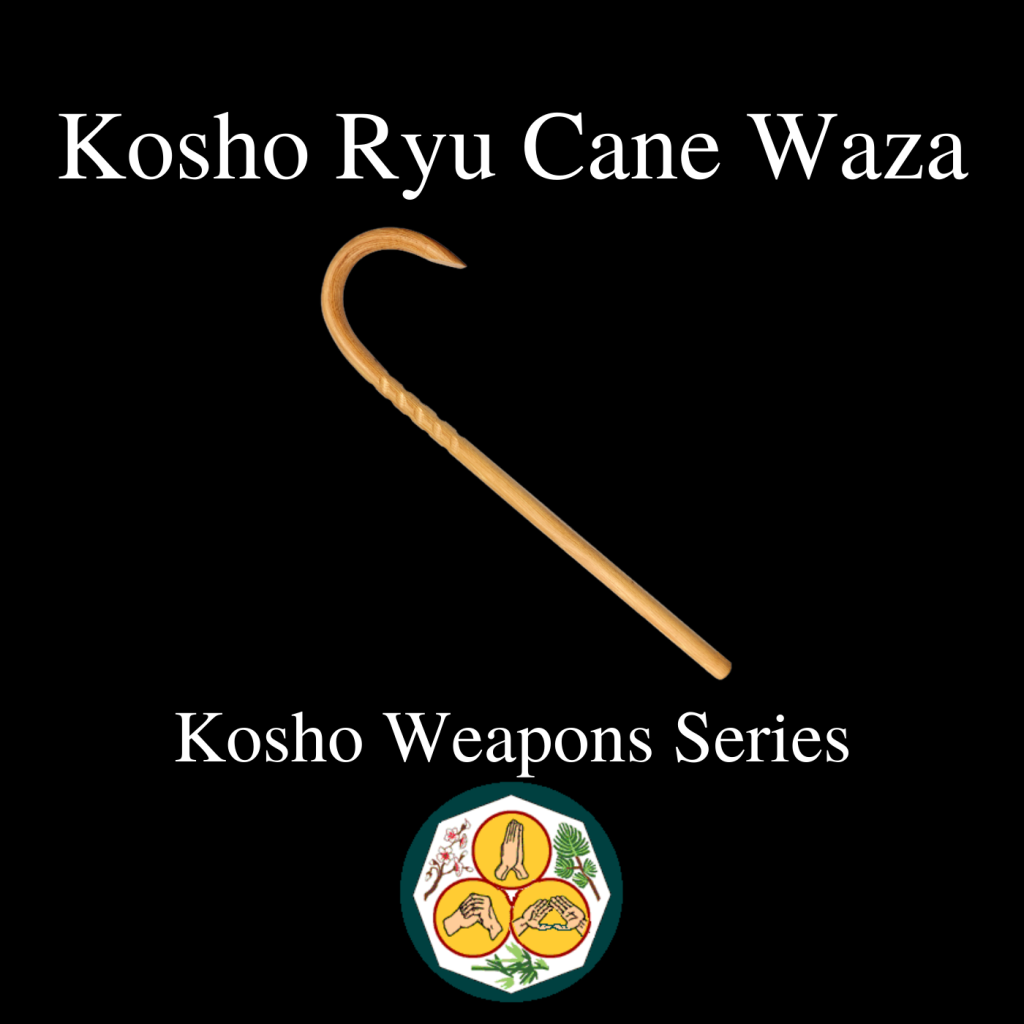 * Kosho Ryu Cane Waza