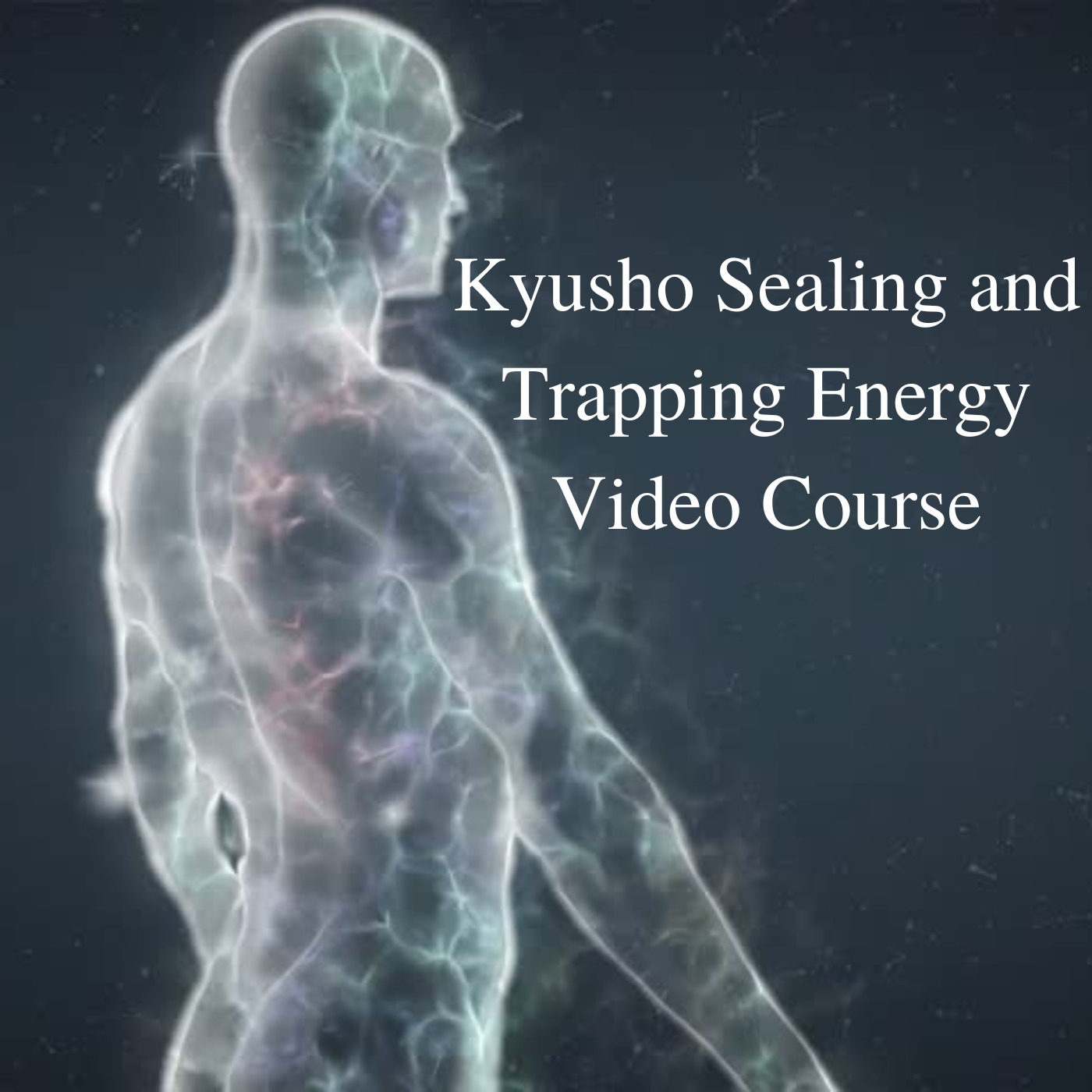 * Kyusho Sealing and Trapping Energy Video Course
