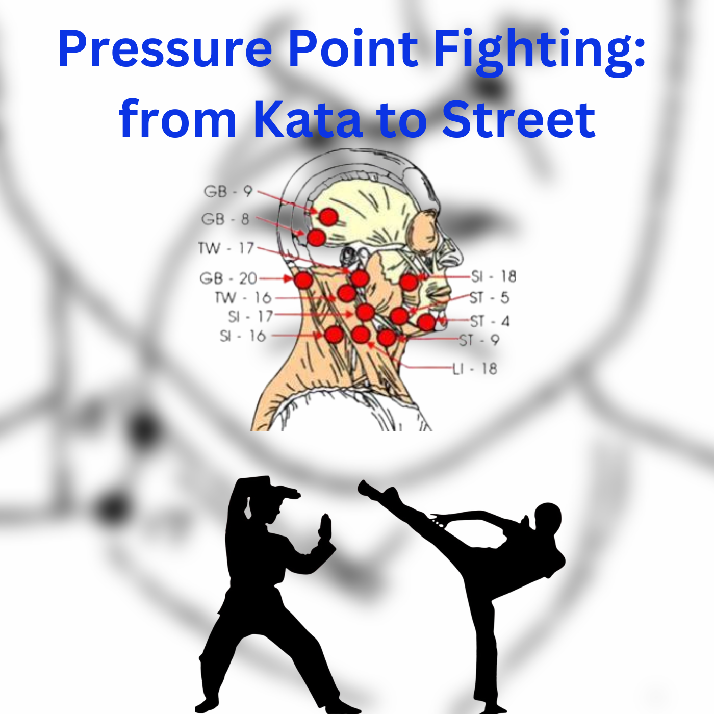 * Pressure Point Fighting: from Kata to Street