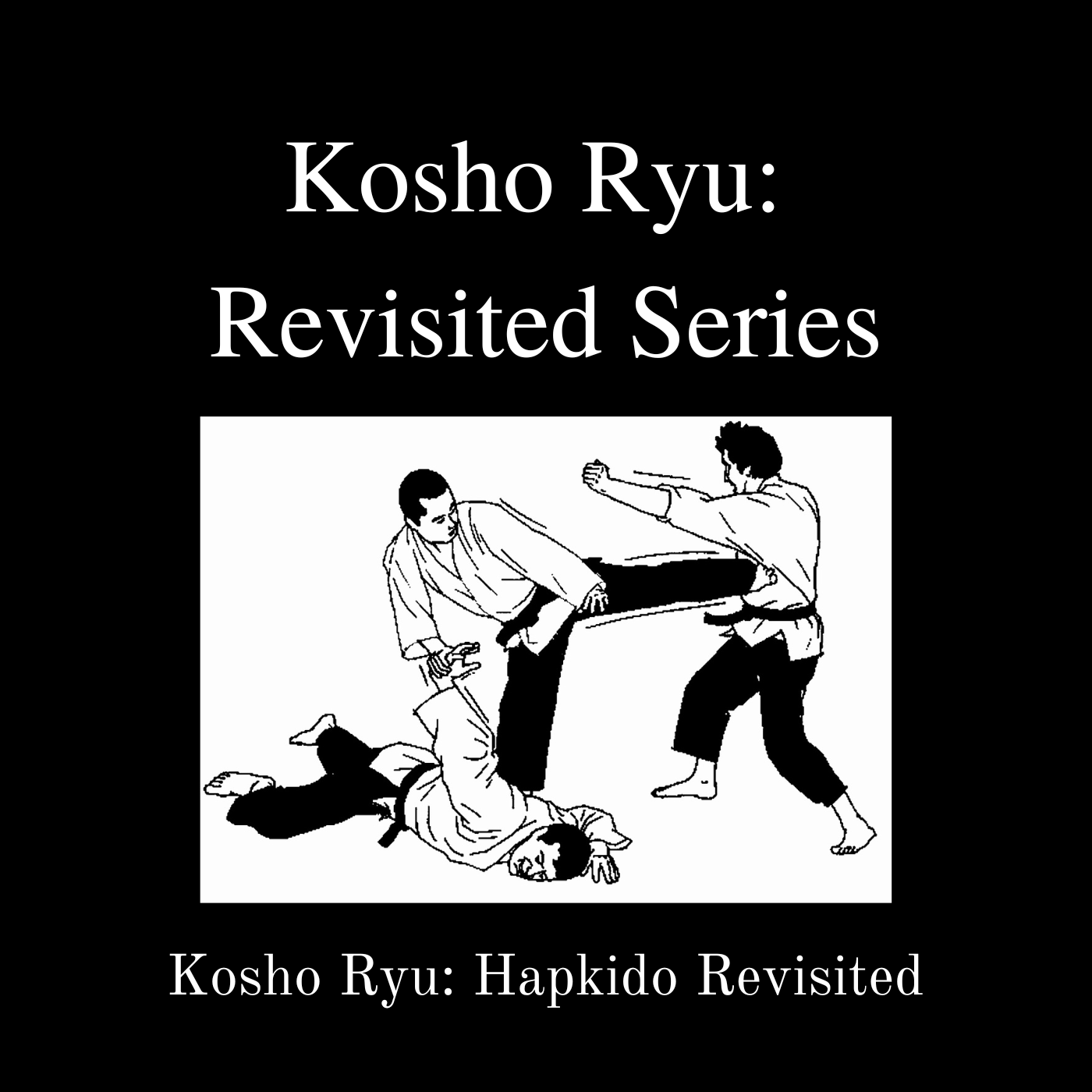 * Kosho Ryu Hapkido Revisited