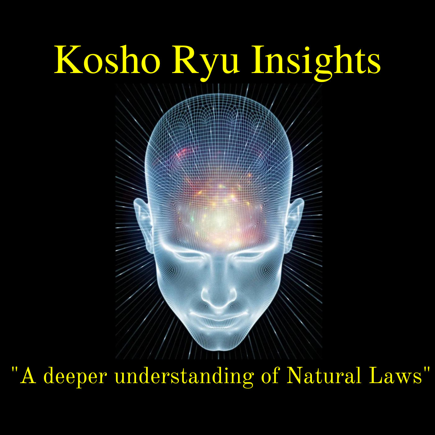 Kosho Ryu Insights Video Course