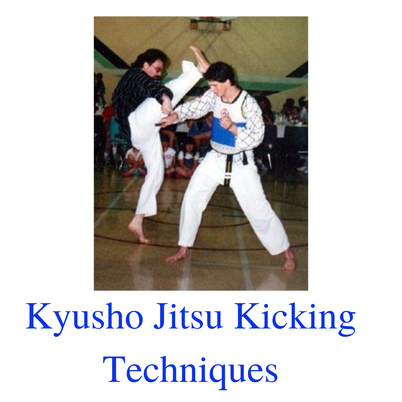 Kyusho Jitsu Kicking Techniques